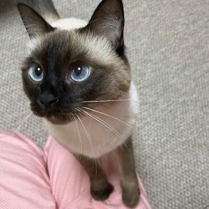 Meet your Posher, Ariana